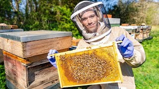 What is Beekeeping? - Preparing for my biggest honey harvest