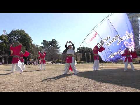 「知多きらく」犬山踊芸祭 絆プロジェクト2025