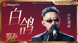 【歌手2025·LOOP】#gai周延 《白鸽》 一小时单曲LOOP｜《歌手2025》 SINGER 2025｜MangoTV