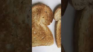Can You Toast Bread with a Magnifying Glass? 🔍🍞 #facts #smartphone #whatif #science #technology