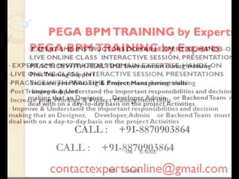 PEGA BPM Online Training and Support