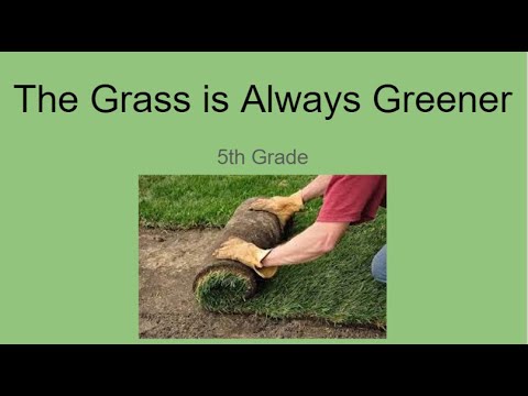 The Grass is Always Greener Day 40