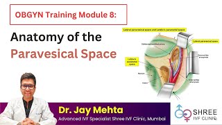 OBGYN Training Module 8   Anatomy of the Paravesical Space  Dr Jay Mehta   Shree