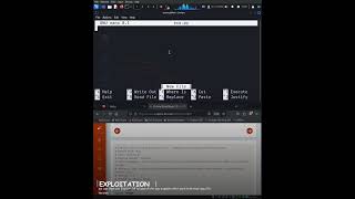 Manual Exploitation Practices  #cybersecurity #coding #pentester