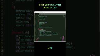 Text Blinking Effect in HTML & CSS #css3 #html5 #uidesign #uiux #webdesign #chatgpt #chatgpt3