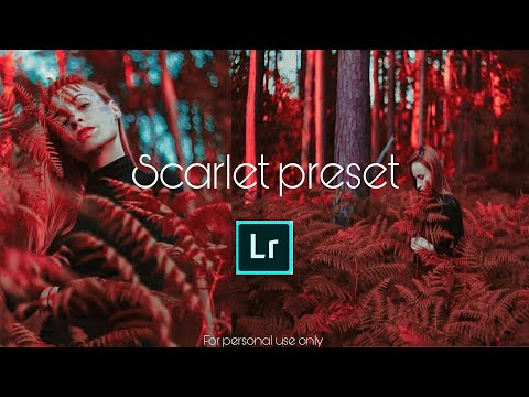 Scarlet Preset | Free Preset |By: MatthewEditingStudio|Lightroom Adobe Preset Tutorials