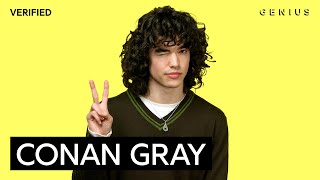 Conan Gray "Alley Rose" Official Lyrics & Meaning | Genius Verified