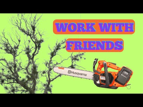Work With Old College Friends