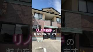 【リノベ済み！】新居浜市で心地よい2人暮らしをスタート✨🏠