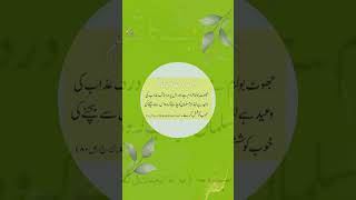 Quran Karim #quranictranslation #qurankareem
