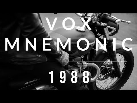 1988 - Upbeat Synthwave Modular Synth Performance