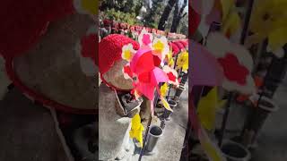 東京増上寺旅行その1