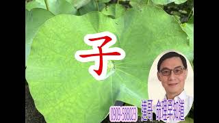 子 字的運用