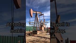 How to make $351,000/month #oilfield