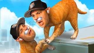 I Became TWO Cats...