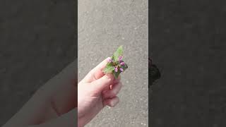 spacerek💖