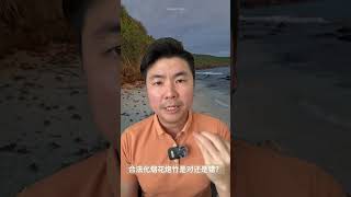 合法化烟花炮竹是对还是错？