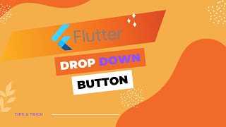 How to use Drop down button in flutter || اردو / हिंदी
