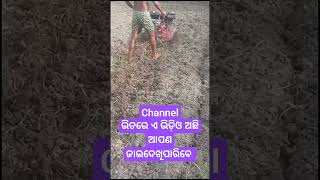 #powerweedermachine #aspee5.5hpmachine #youtubeshorts #odisha #agricultureodisha #livedemo #shorts