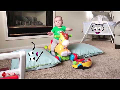 Try not to laugh   Funny Cat Get Trouble In The Christmas