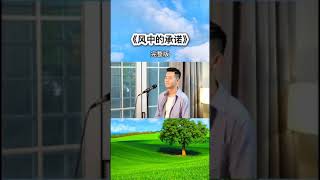 小阿枫 风中的承诺 完整版 （抖音热门歌曲）