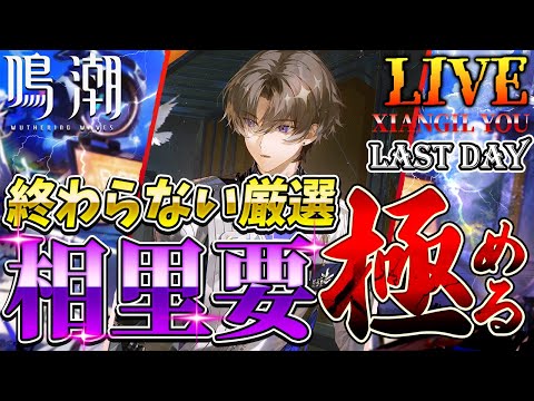 【鳴潮】相里要を極めたい！？無限の厳選....Final episode/カルロッタのPV、最高でした！