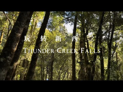 Thunder Creek Falls雷霆溪瀑布｜友好耐玩的大瀑布｜玩转新西兰