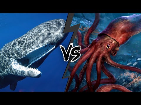 SPERM WHALE vs GIANT SQUID - Who Would WIN This Fight?
