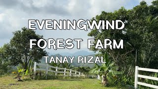 Escaping to Eveningwind | Tent Life, Camp Vibes & Nature Feels