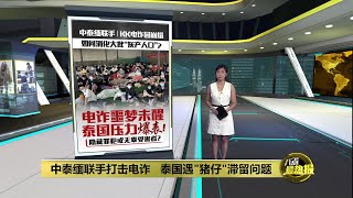 中泰缅联手打击KK园   “猪仔“滞留问题让泰国大喊头疼 | 八点最热报 26/02/2025