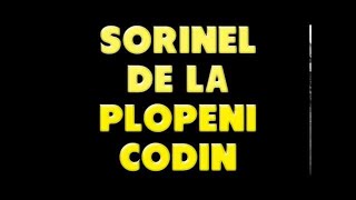 SORINEL DE LA PLOPENI    CODIN