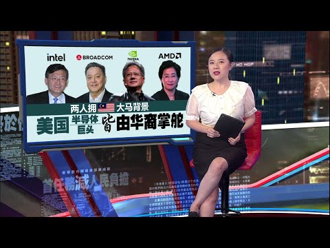 英特尔新CEO陈立武   出生于大马的企业精英 | 新闻报报看 14/03/2025