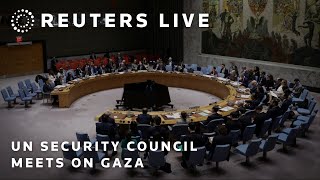 LIVE: UN Security Council meets on the humanitarian situation in Gaza