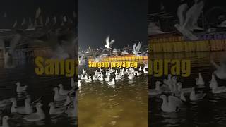 Sangam Prayagraj | Jale 2 | #music #shorts #short