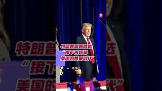 特朗普宣布胜选 “接下来将是美国的黄金时代”