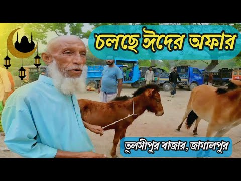 ঘোড়া হাটের রাজা: যেখানে প্রতিটি ঘোড়া এক একটি কিংবদন্তি! #horse