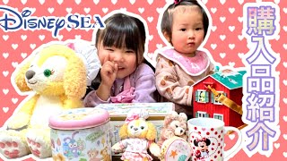 ディズニーシー購入品紹介★クッキーアン　ポップコーンバケット　ぬいぐるみバッチ