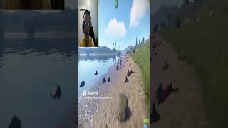 When Rust Sucks