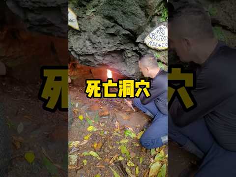 在野外看到这种洞穴一定不要钻进去 #有趣 #科普  #洞穴探险  #大自然