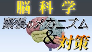 【脳科学】〜ノルアドレナリンの暴走〜緊張のメカニズムと対策