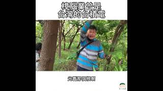 樟腦業曾是台灣的台積電