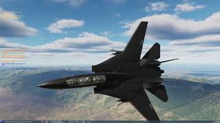 F-14 Putting in that work baby!