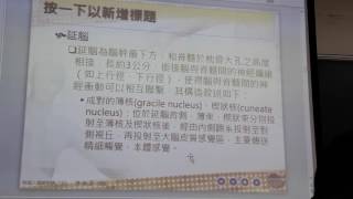 第三節中樞神經系統2