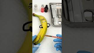 Why The Art of Fruit Surgery Will Change Forever With Saw Technology