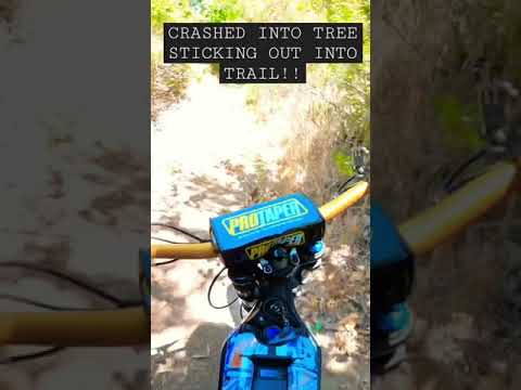 #crash into Random tree branch stick out into trail!!!! #fail #bike #bikefails #ebike #viral