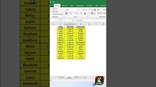 How to use Format Painter in Excel?
