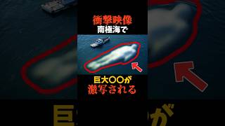 海に出現した巨大生物がヤバい#shorts
