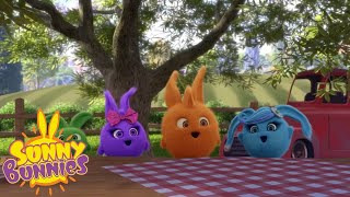 Videos For Kids | SUNNY BUNNIES - YOU HARVEST WHAT YOU SOW | Season 3