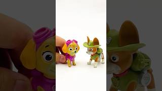 Pawpatrol's Family Crash Test SKYE vs TRACKER #pawpatrol #skye #tracker #crashtest #rescue #family