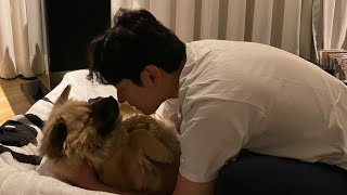 조승우 곰자